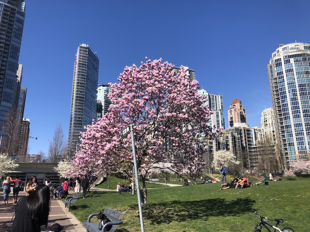 IMG_5036.jpeg
